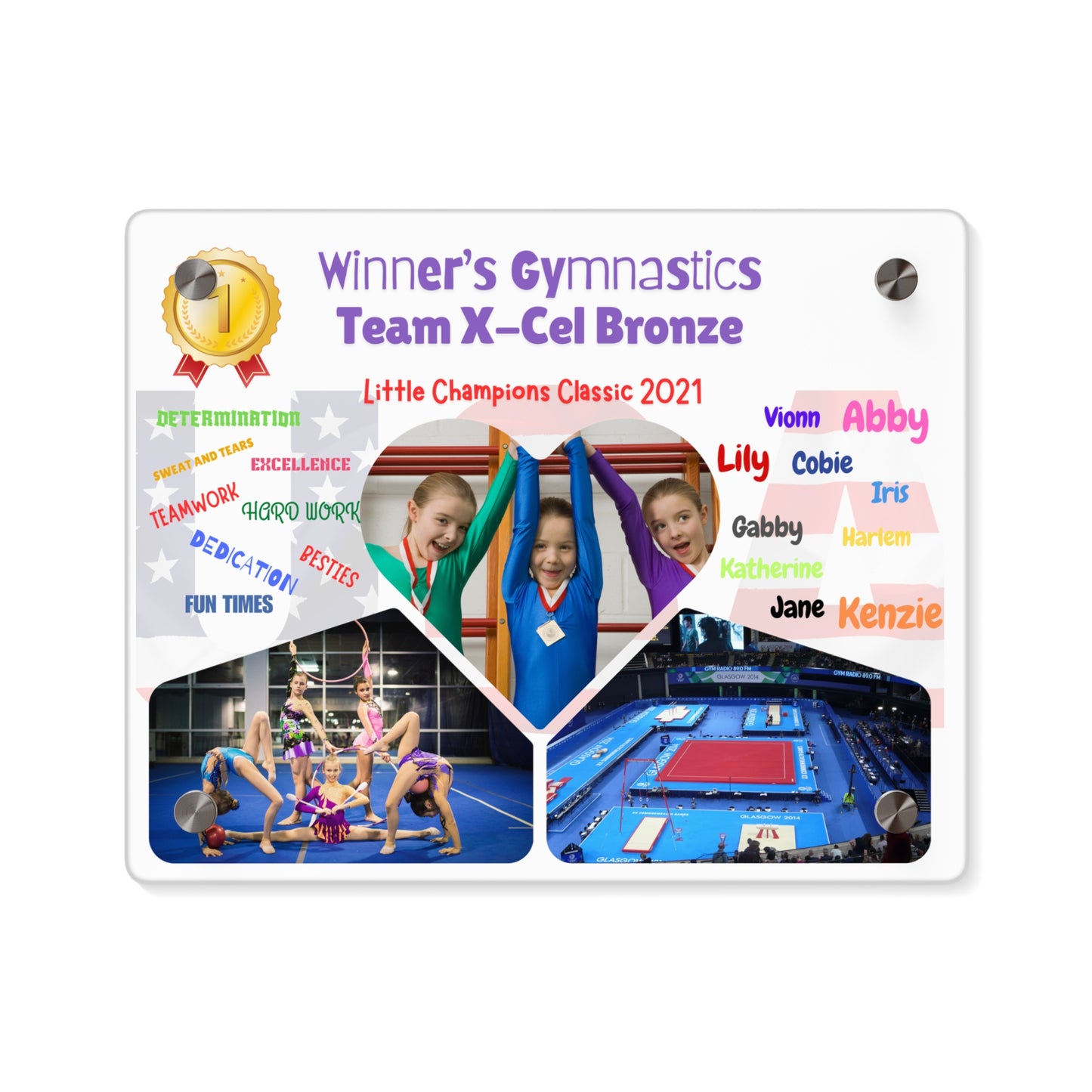 Personalized Acrylic Wall Art Panel -  Gymnastics Team USA Theme